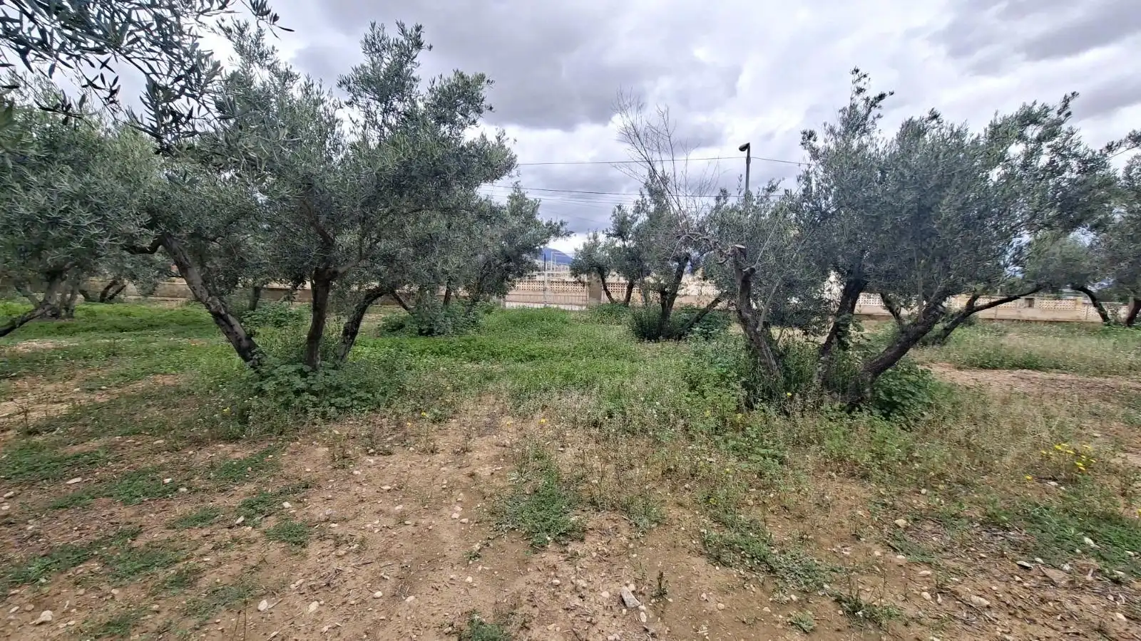 Wohnbaugrundstück zum Verkauf in CABO PALOS-RB ROLLET, imagen 9