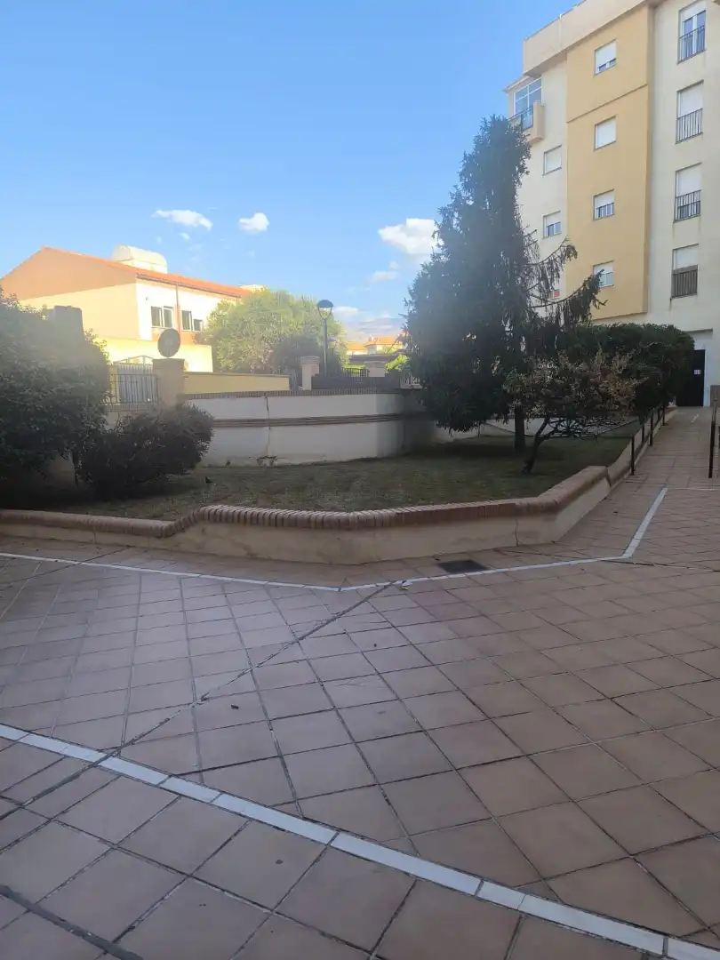 Pis amb terrassa de lloguer a Calle Rio Genil 2, imagen 18