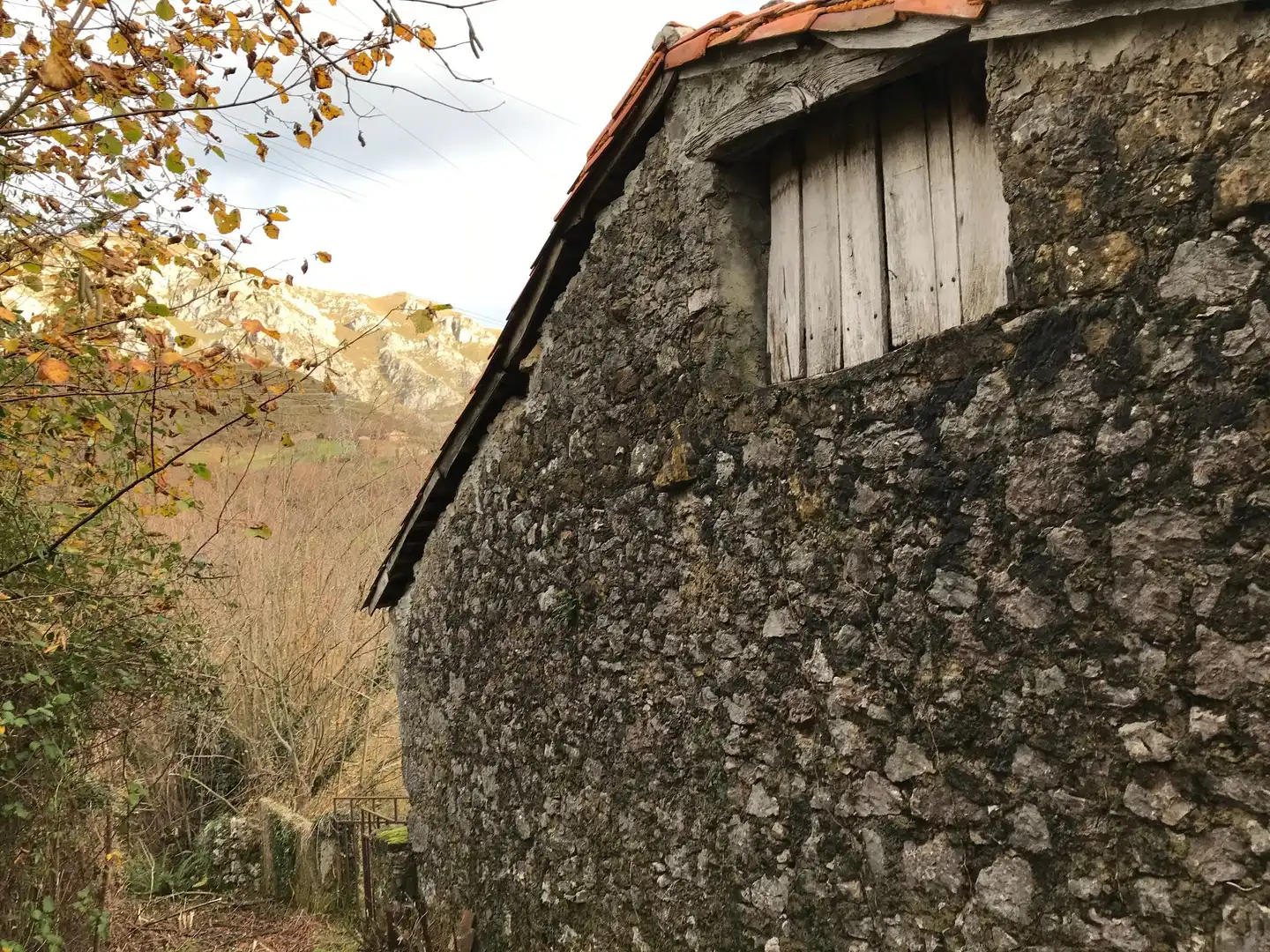 Lands and plots for sale in El Pontón, Rozagas, imagen 9