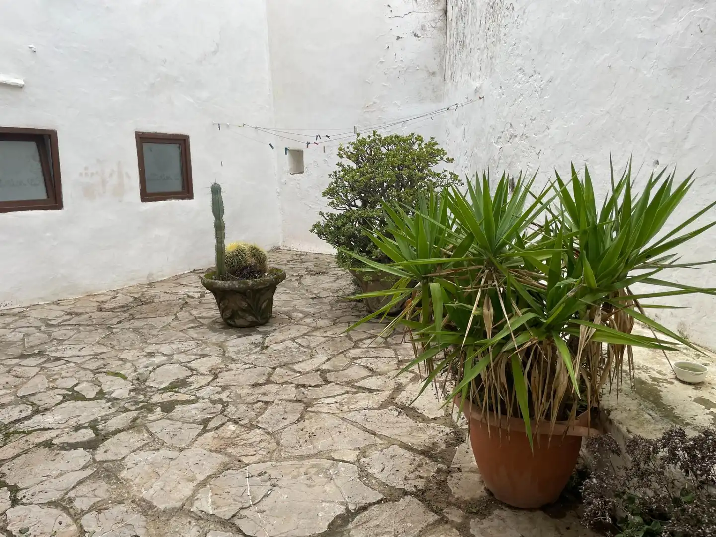 Jardín de Casa o chalet en venta en Tarifa con Terraza