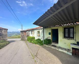 Vista exterior de Casa o xalet en venda en Tineo amb Terrassa