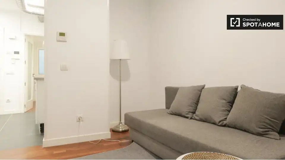 Sala de estar de Piso de alquiler en Madrid con Aire acondicionado, Calefacción y Amueblado