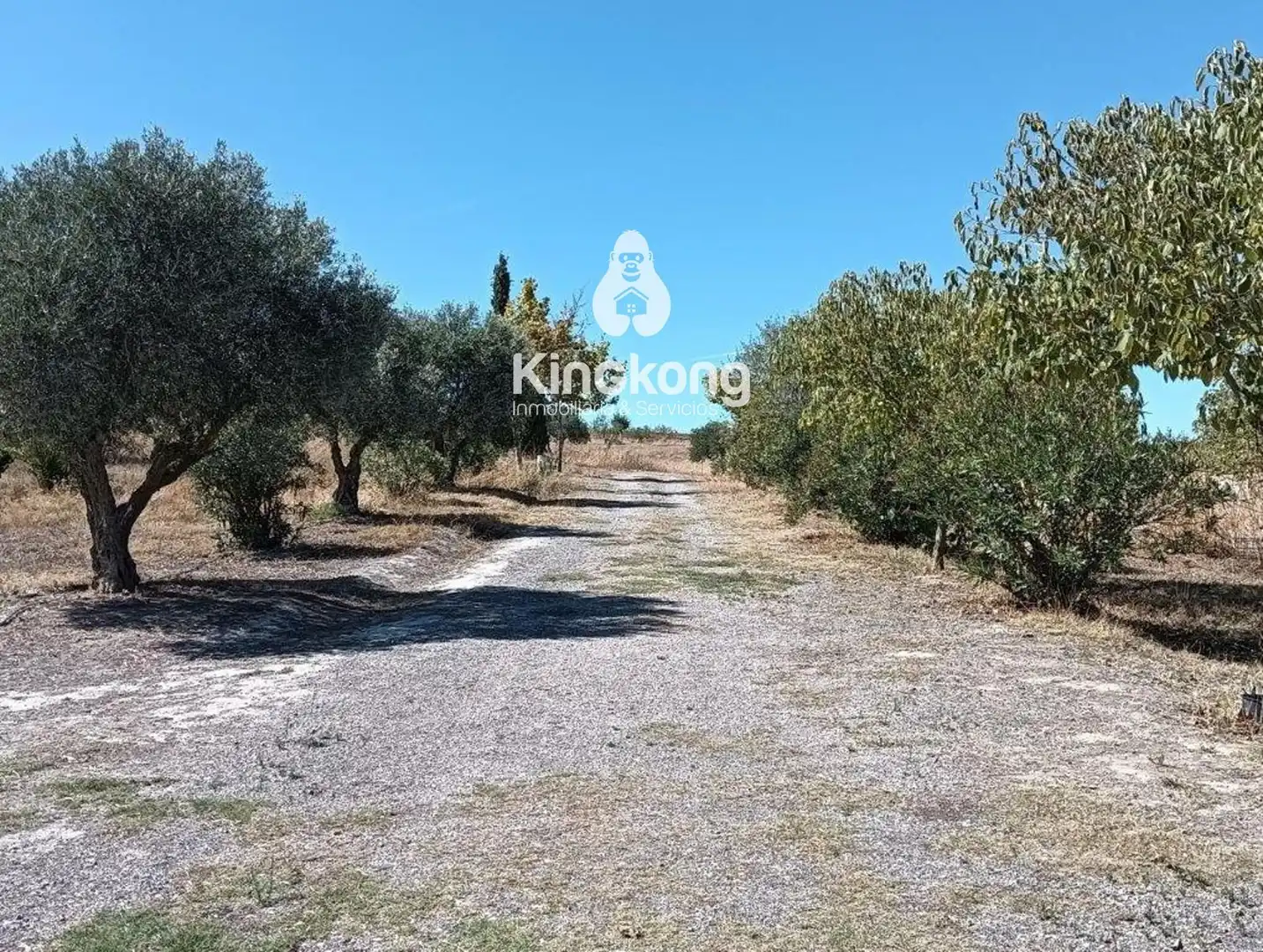 Residential for sale in Belinchón