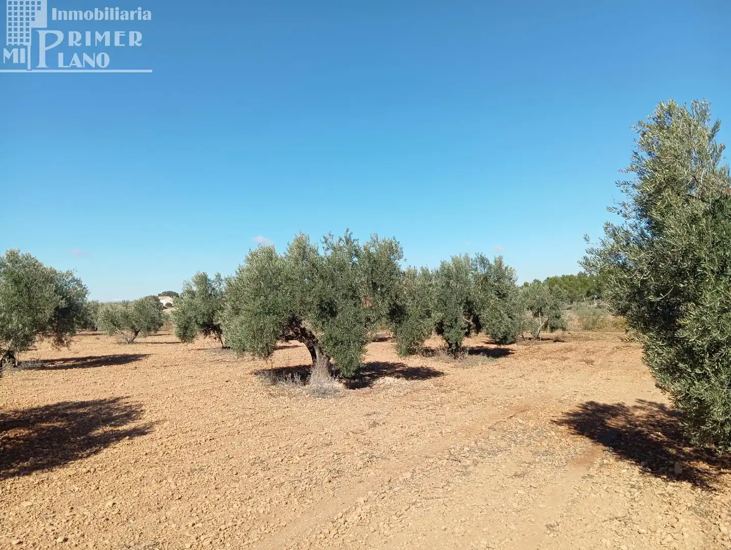 Terrenys i solars en venda a Argamasilla de Alba