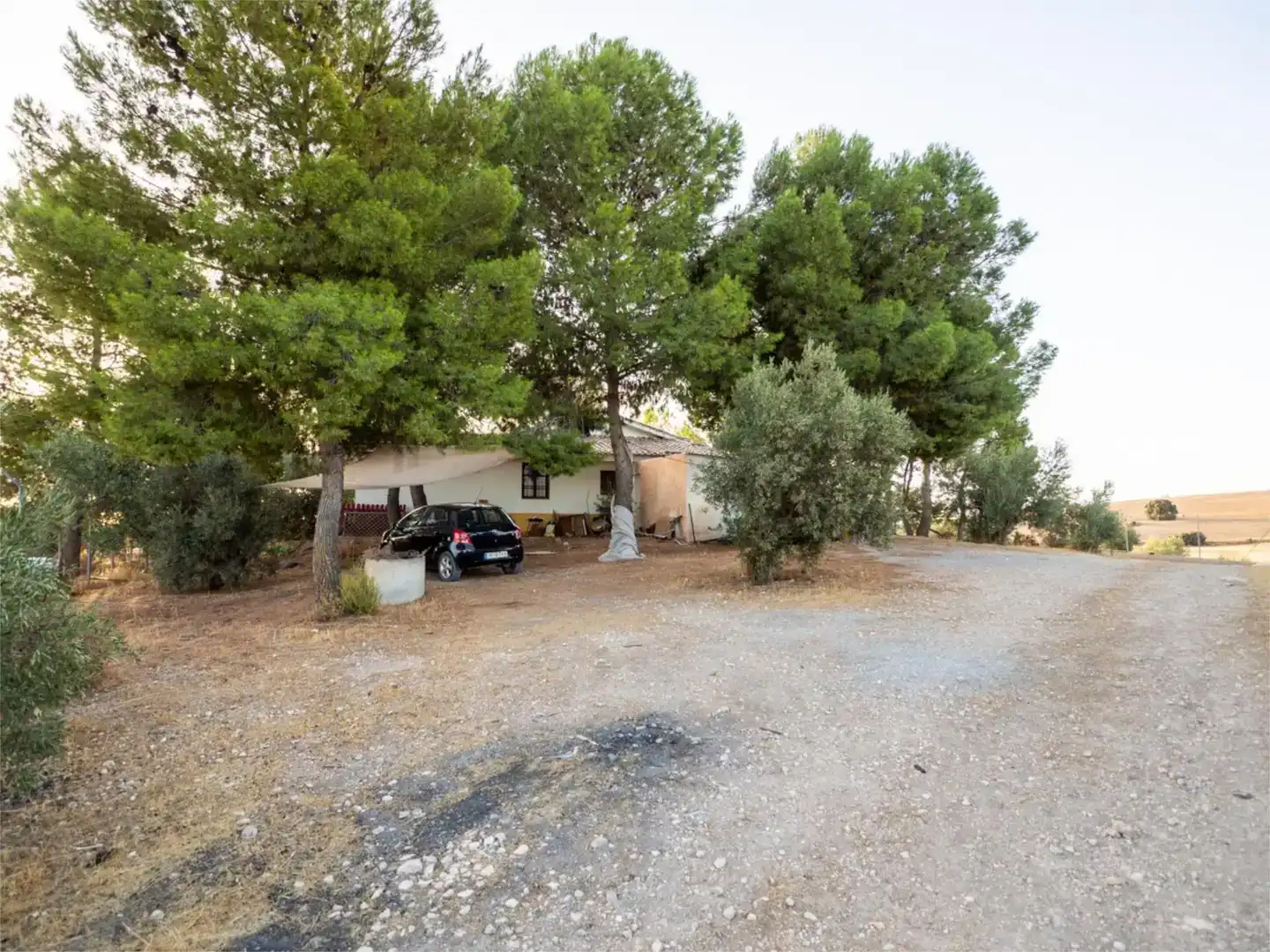 Vista exterior de Finca rústica en venda en Alhama de Granada amb Aire condicionat i Piscina
