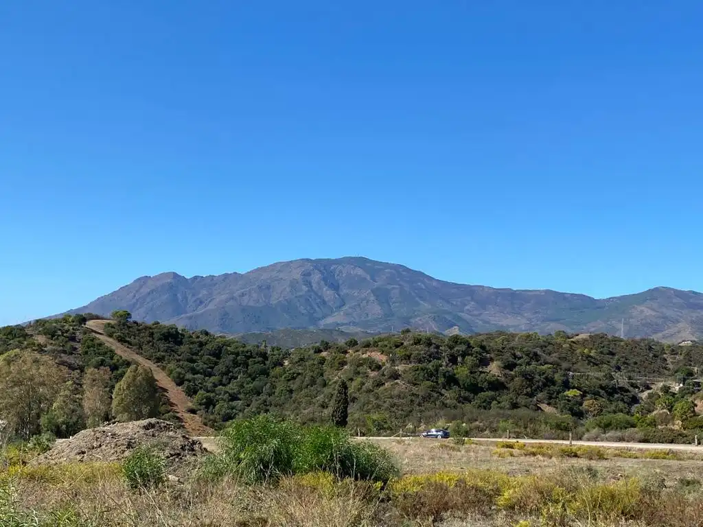 Terrenos y solares en venta en Selwo, imagen 5