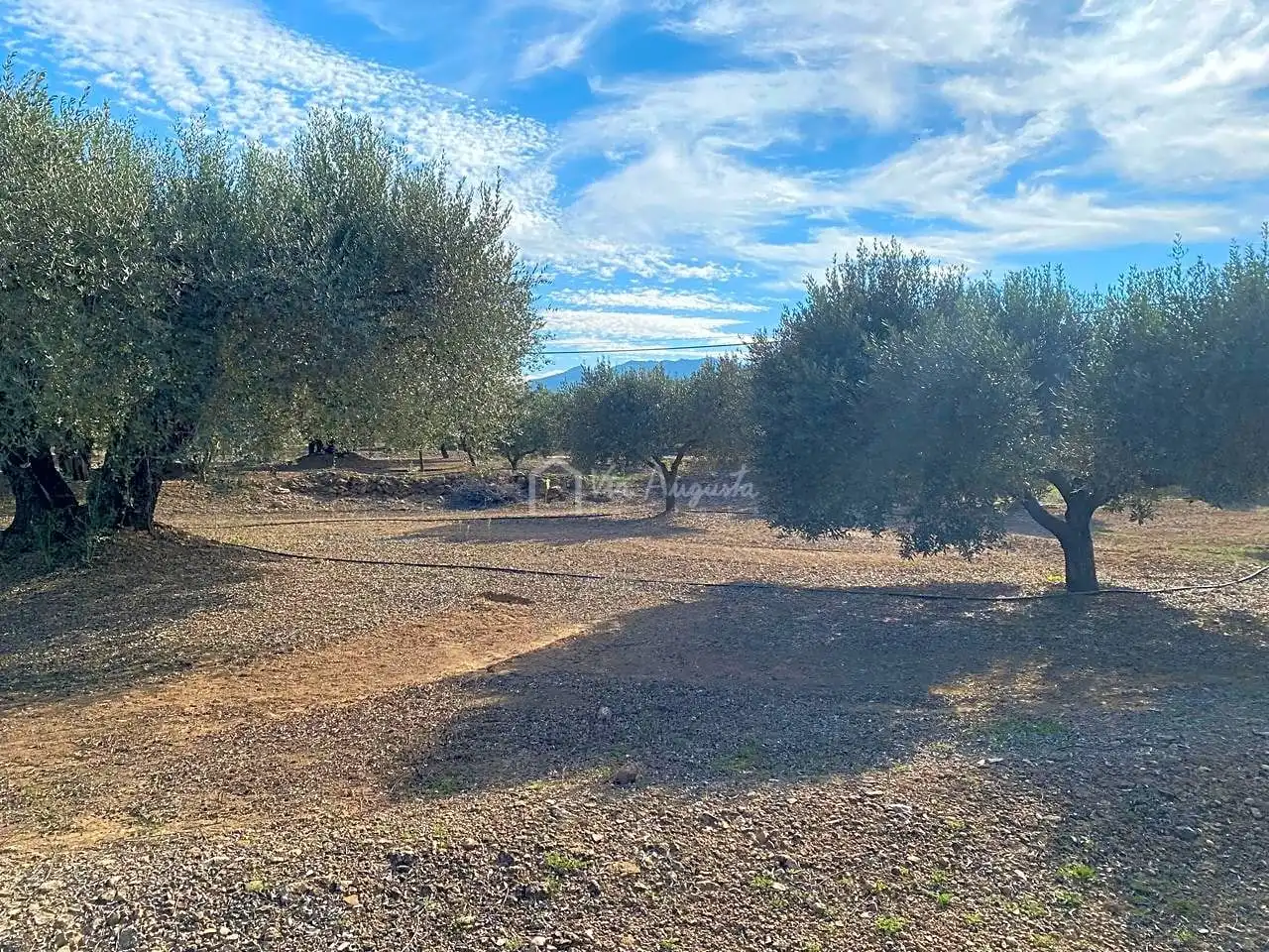 Rural land for sale in Partida Pedres, imagen 4