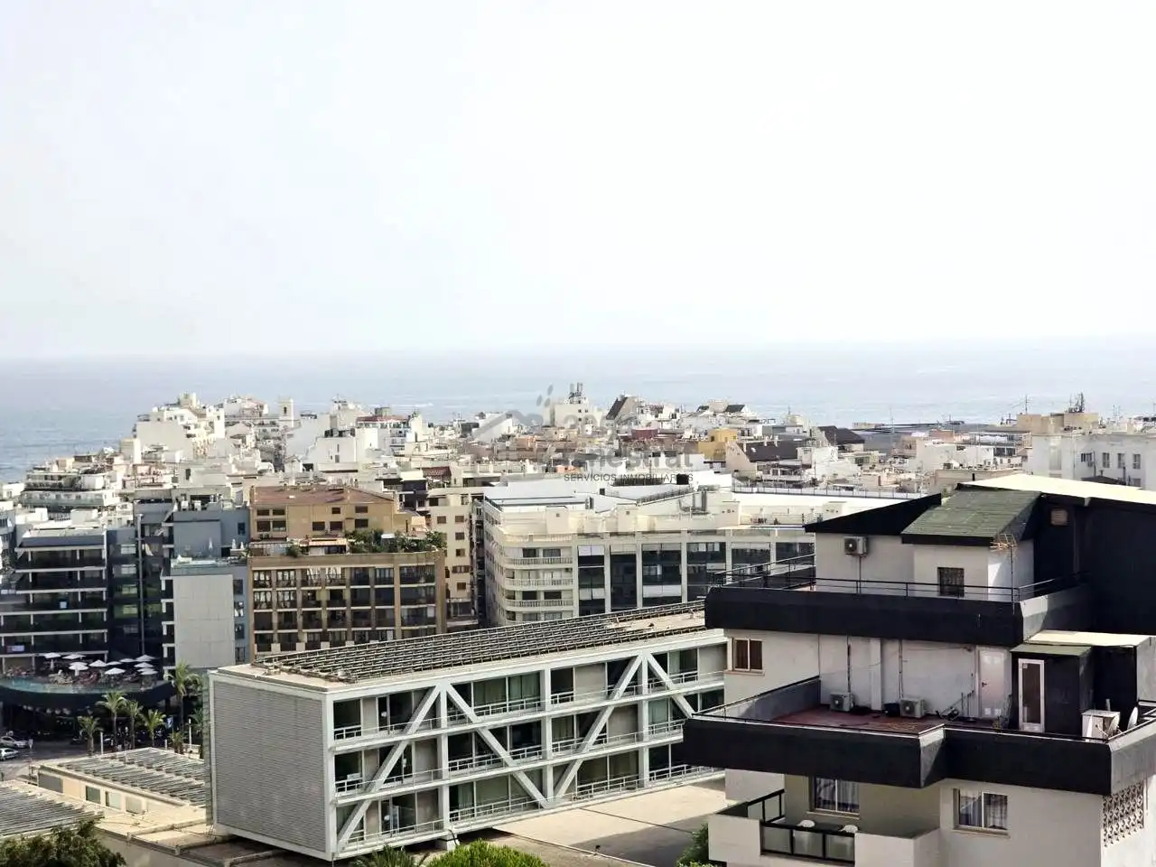 Vista exterior de Apartamento en venta en Benidorm con Terraza, Amueblado y Piscina comunitaria