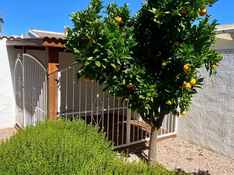 Jardín de Casa o chalet en venta en Rojales con Aire acondicionado y Piscina