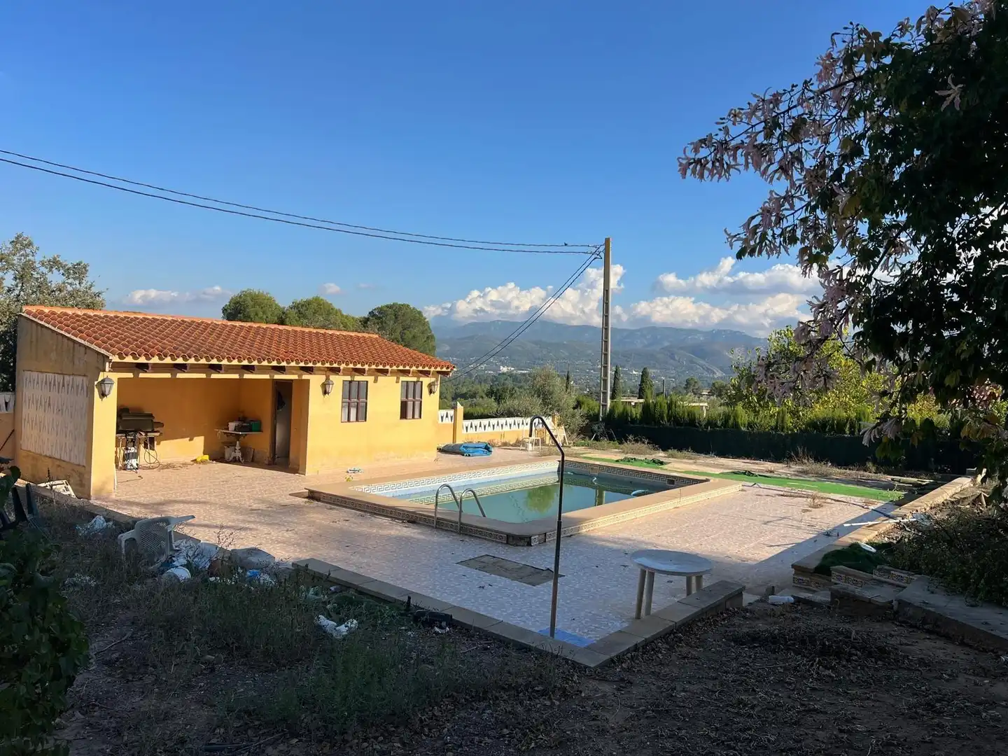 Swimming pool of Houses for sale in El Pilar 