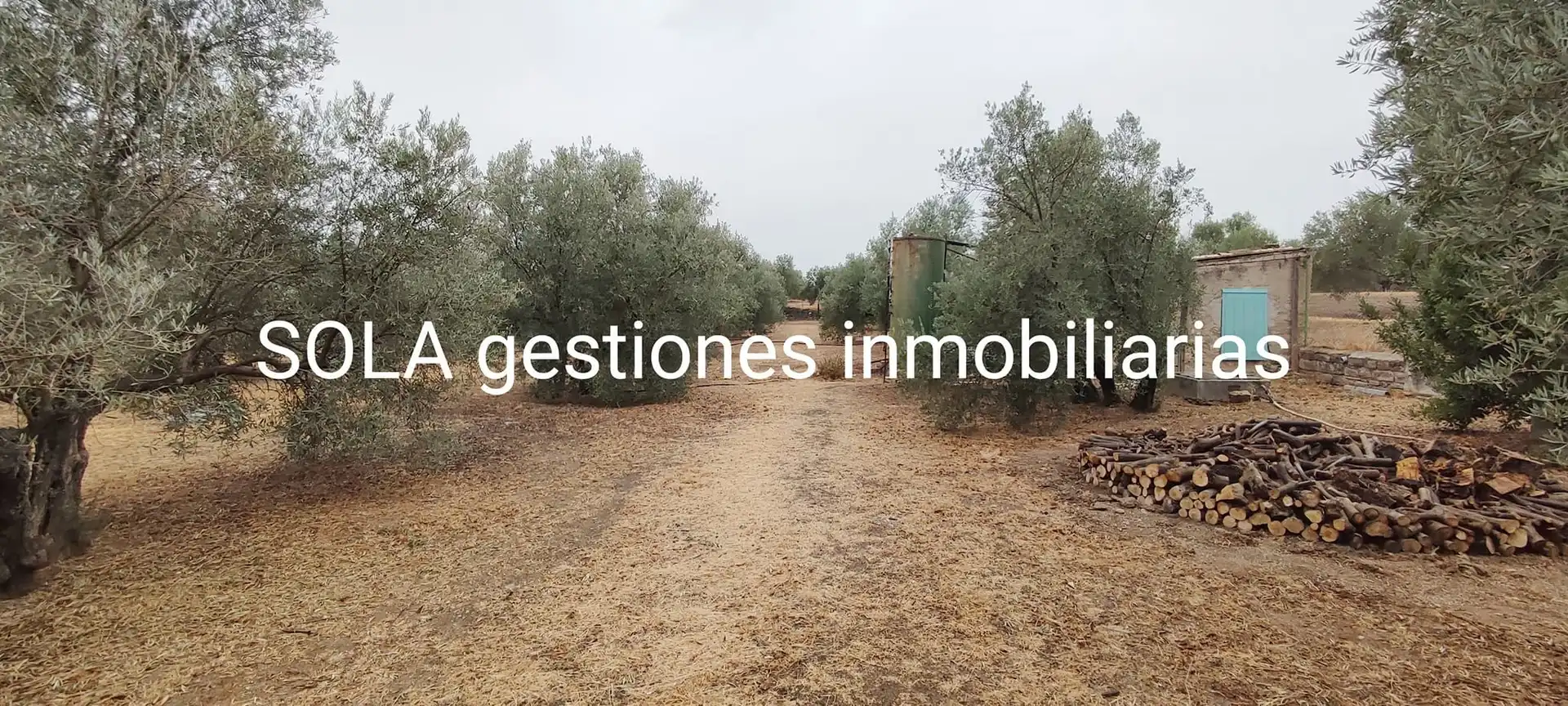Terreni e lotti in vendita a Úbeda, imagen 5