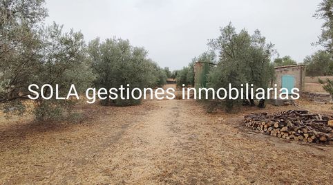 Imagen 5 del anuncio