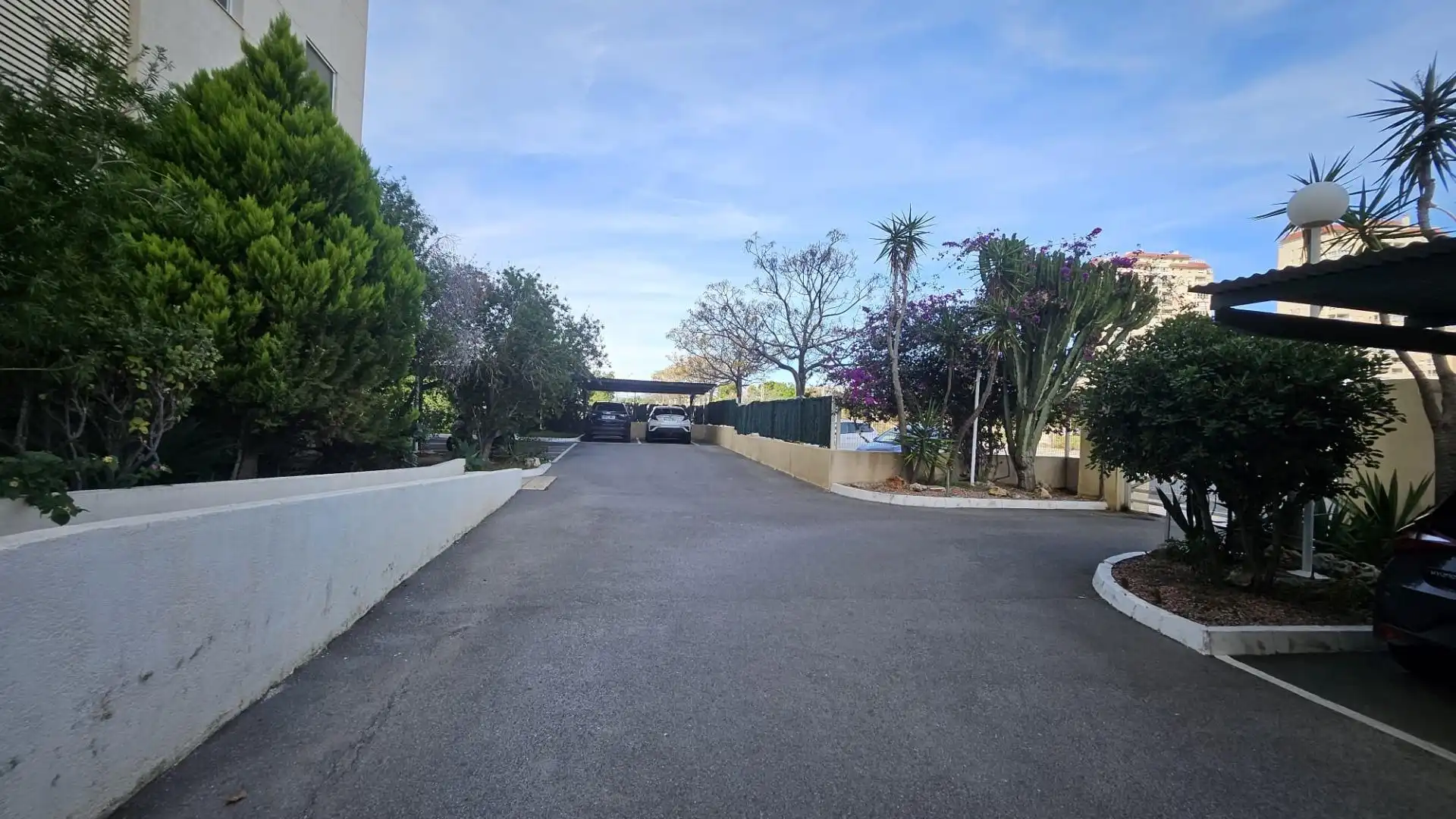 Apartments for rent in Playa Muchavista