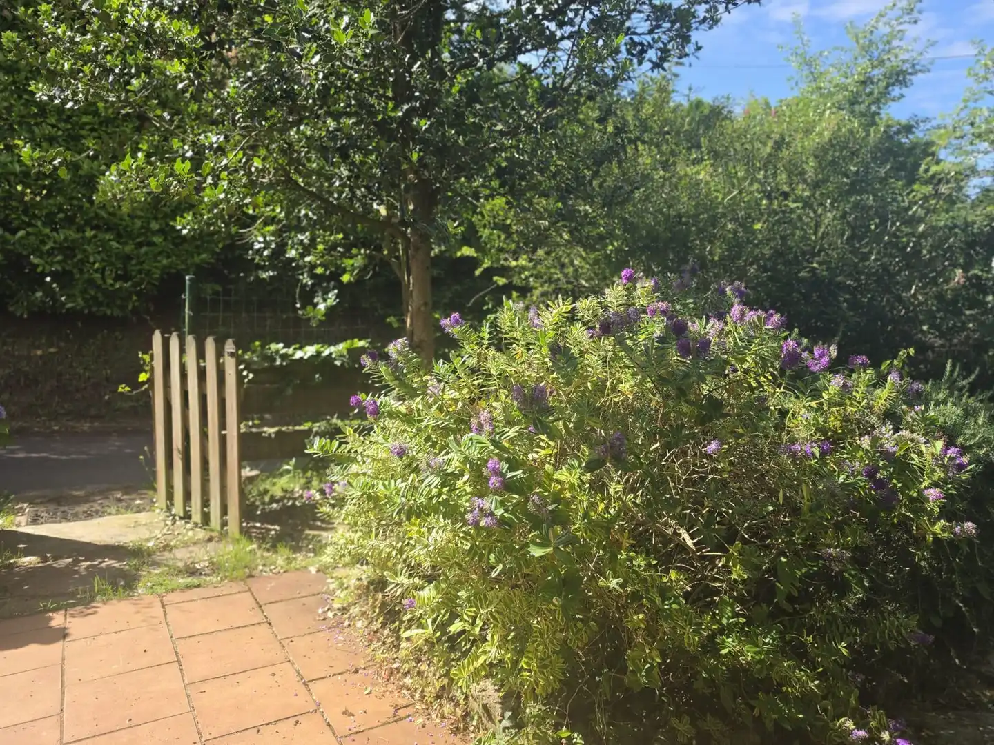 Jardí de Casa o xalet de lloguer en Villaviciosa amb Calefacció, Terrassa i Traster