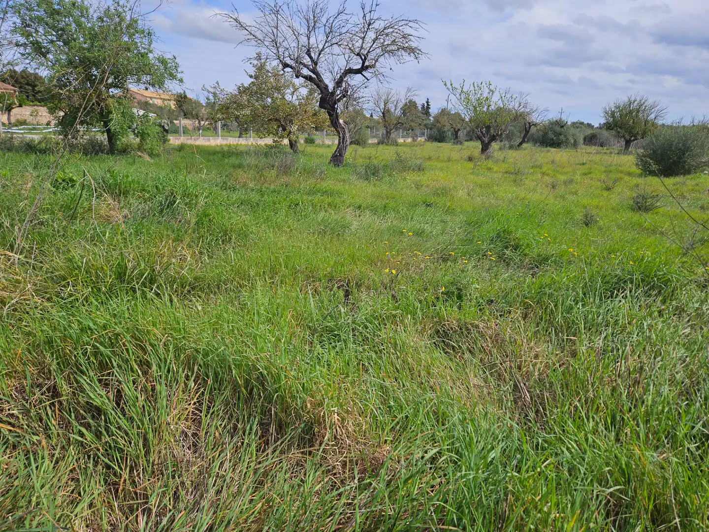 Terreno residencial en venta en Carrer d'en Fiol 19, imagen 3