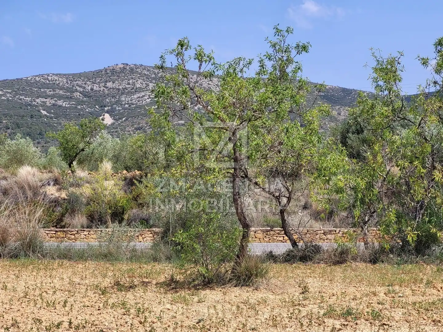 Terreno rustico in vendita a Traiguera, imagen 6