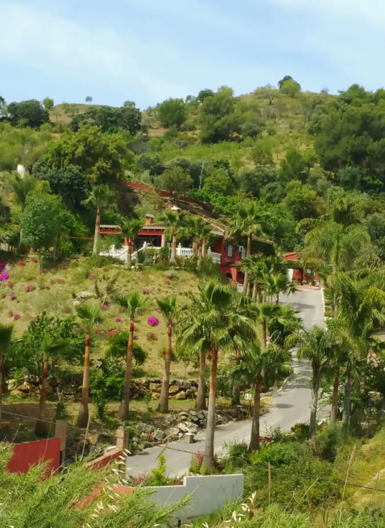 Casa rústica con piscina en venta en Calle Luna, imagen 22