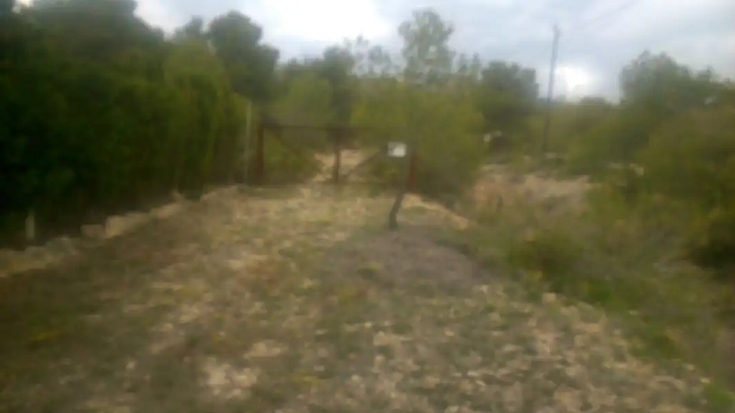 Terrenys i solars en venda a Partida CAMI CARRASCAL, imagen 3