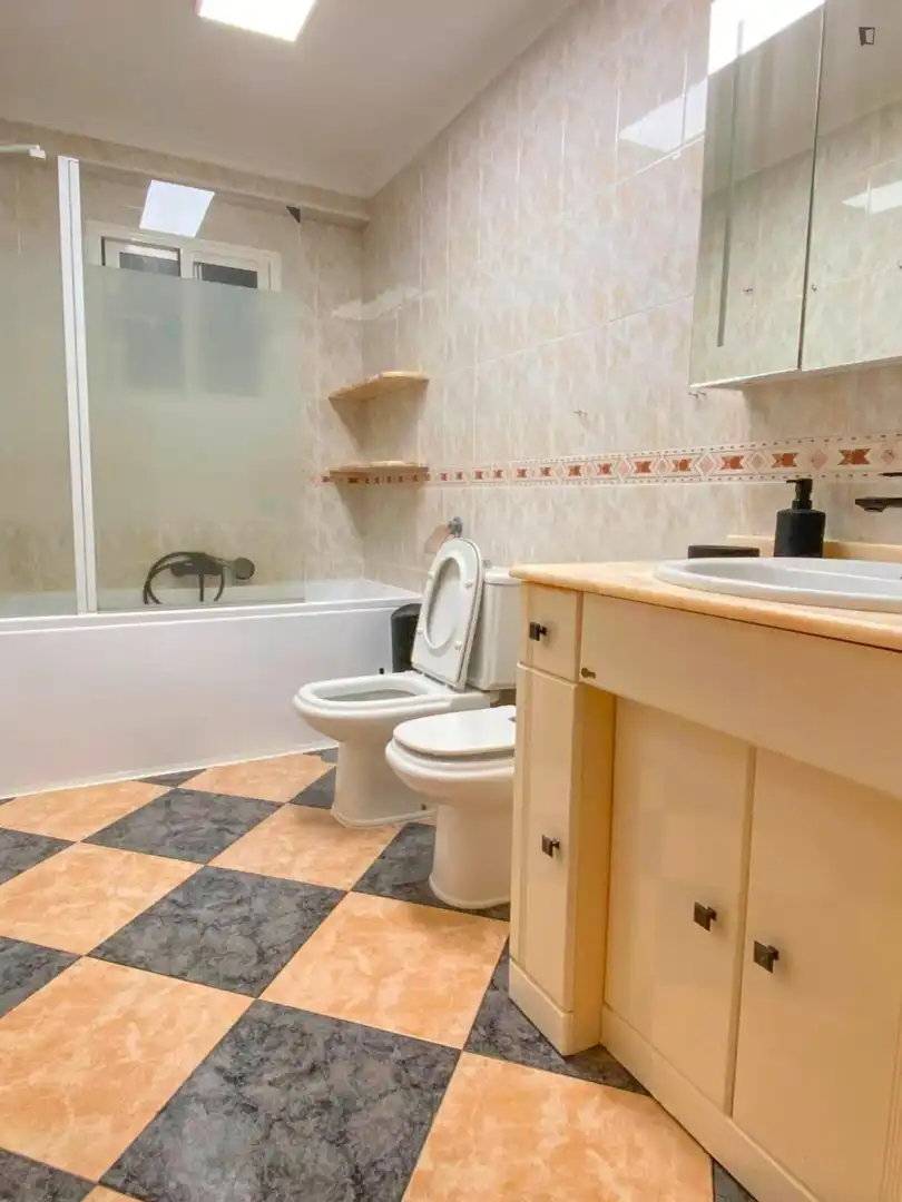 Bathroom of Apartments for share in Norte
