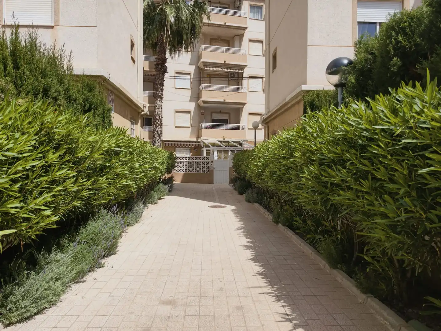 Exterior view of Apartments for sale in Cuenca  with Air Conditioner, Terrace and Furnished