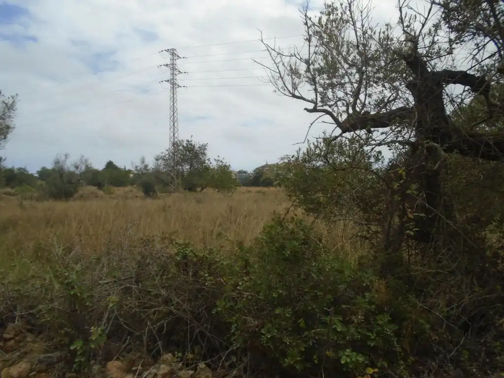 Rustikales Grundstück zum Verkauf in Paraje del Moro, imagen 14