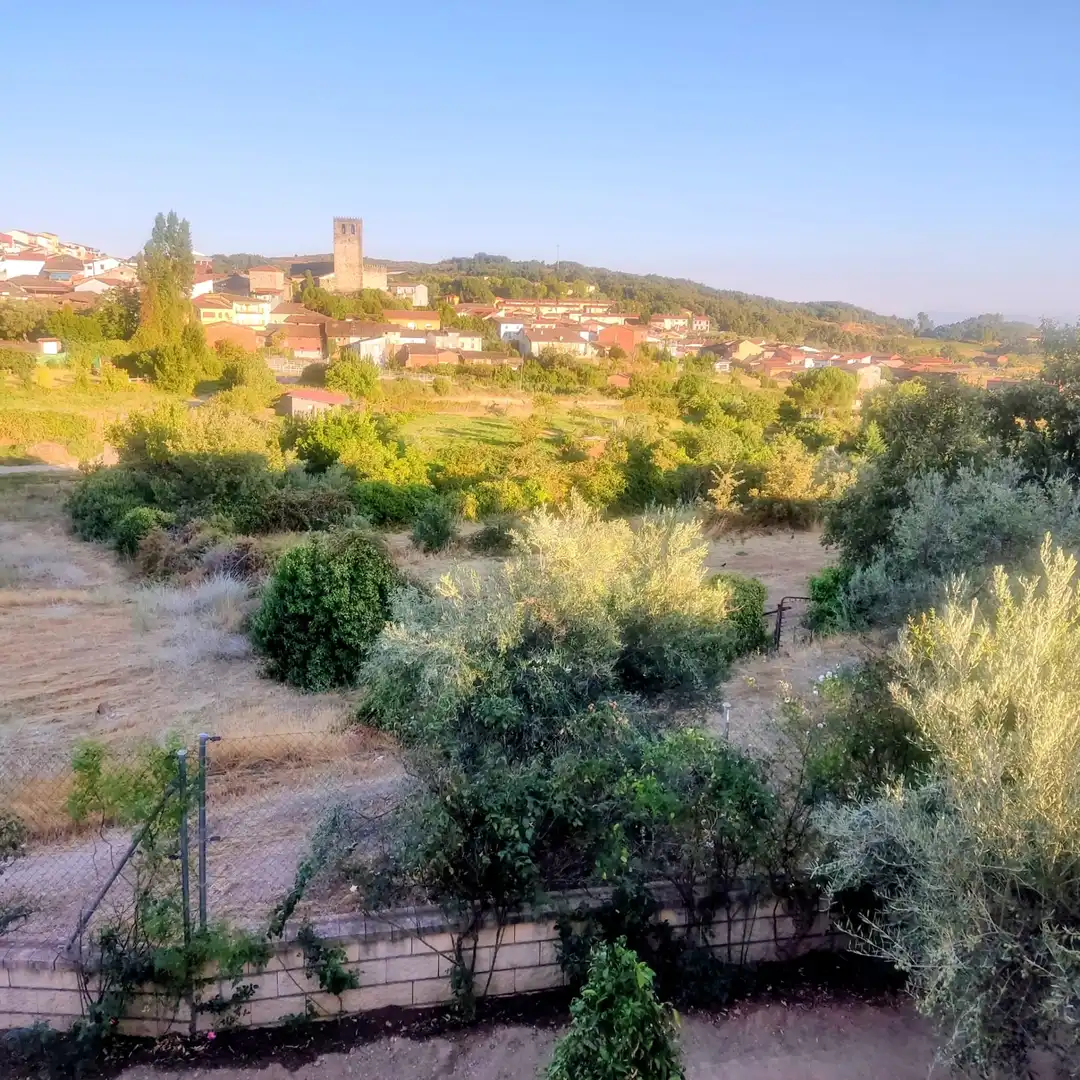 Chalet en venta en Calle del Rozo, imagen 22