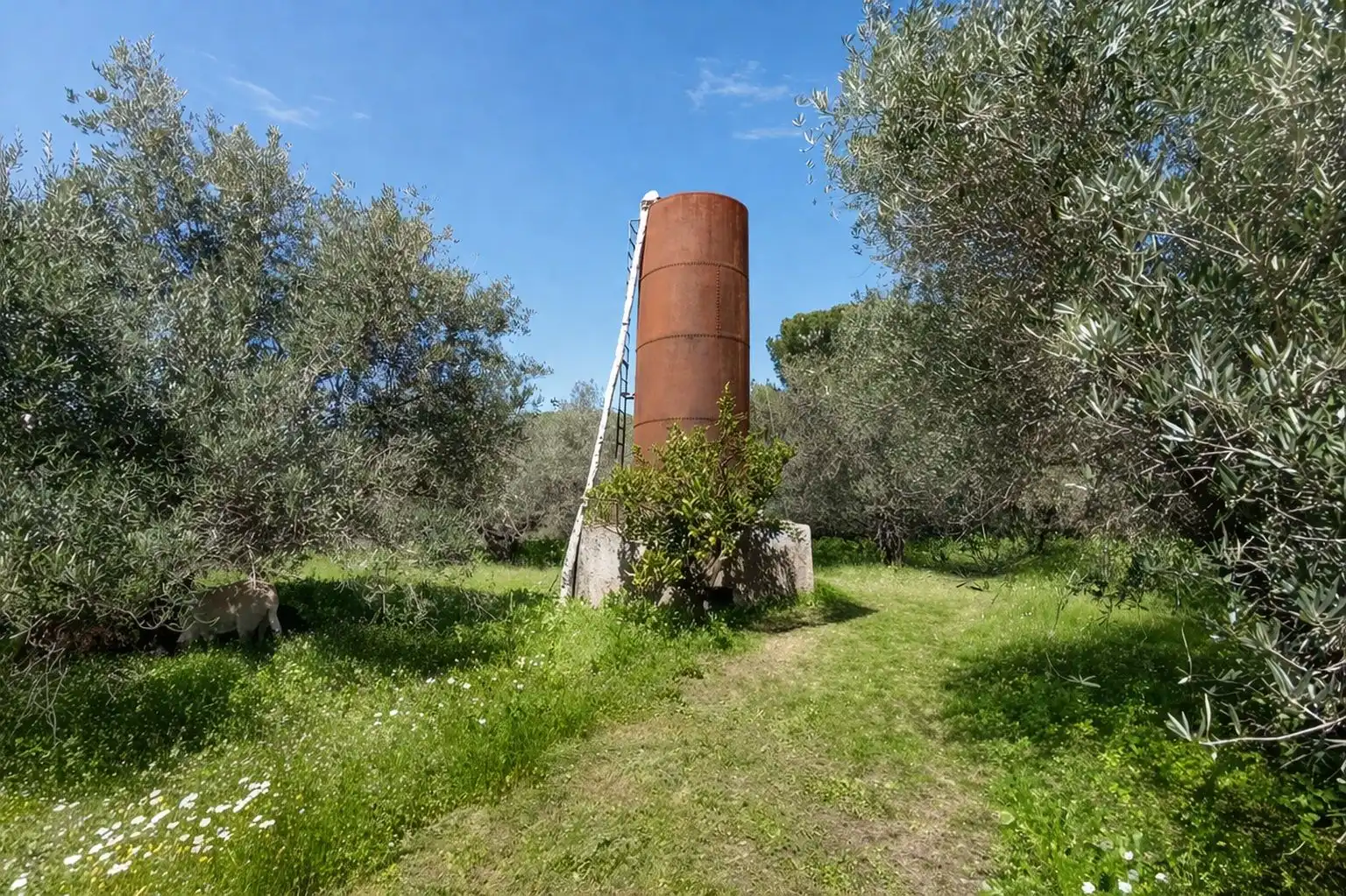 Finca rústica en venda en Andújar amb Jardí privat i Terrassa