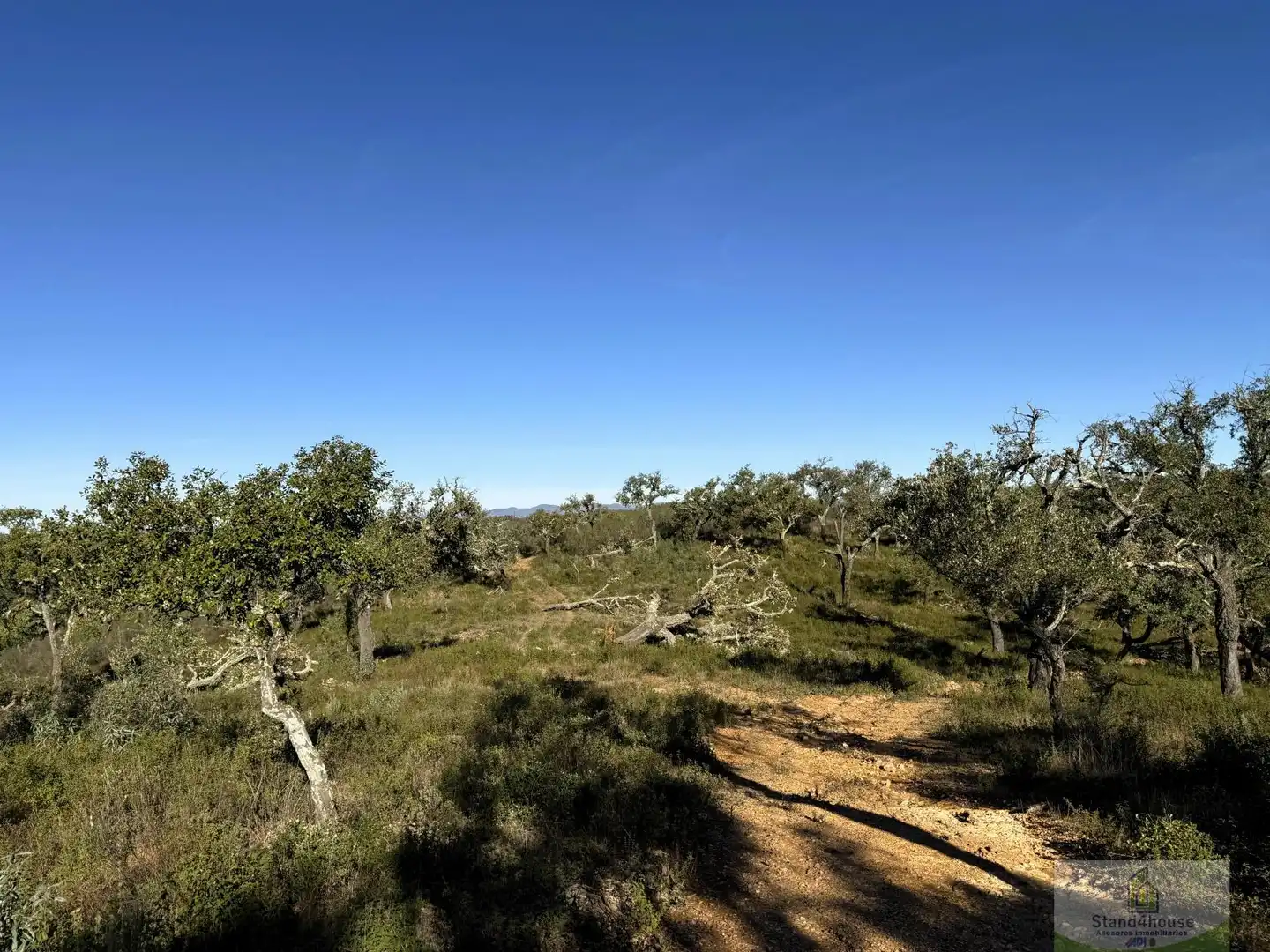 Residencial en venta en Berrocal