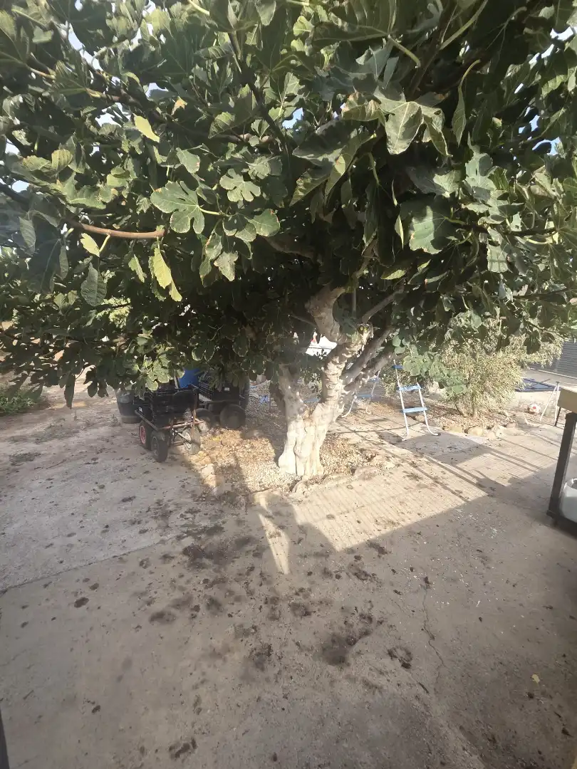 Casa rústica amb piscina en venda a Rambla Tueras, imagen 26