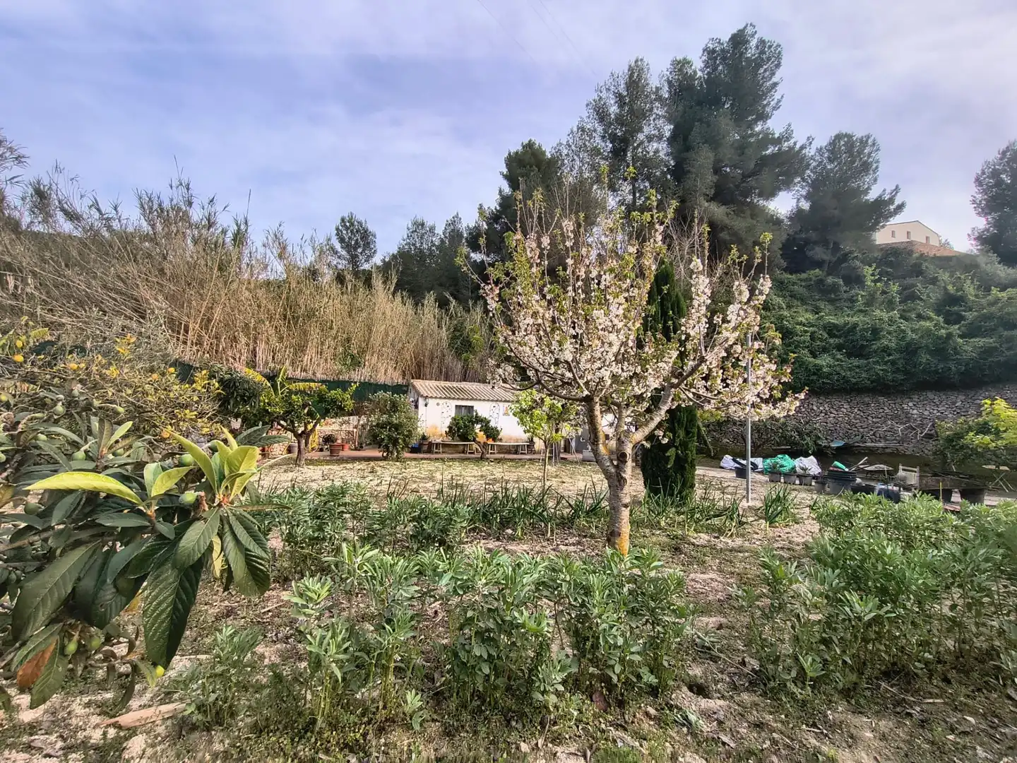 Terrenys i solars en venda a Benissa pueblo