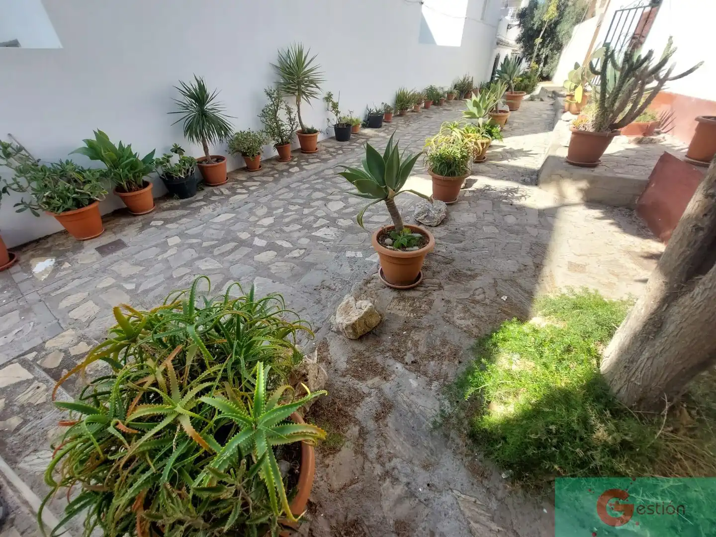 House for sale in Centro, imagen 2