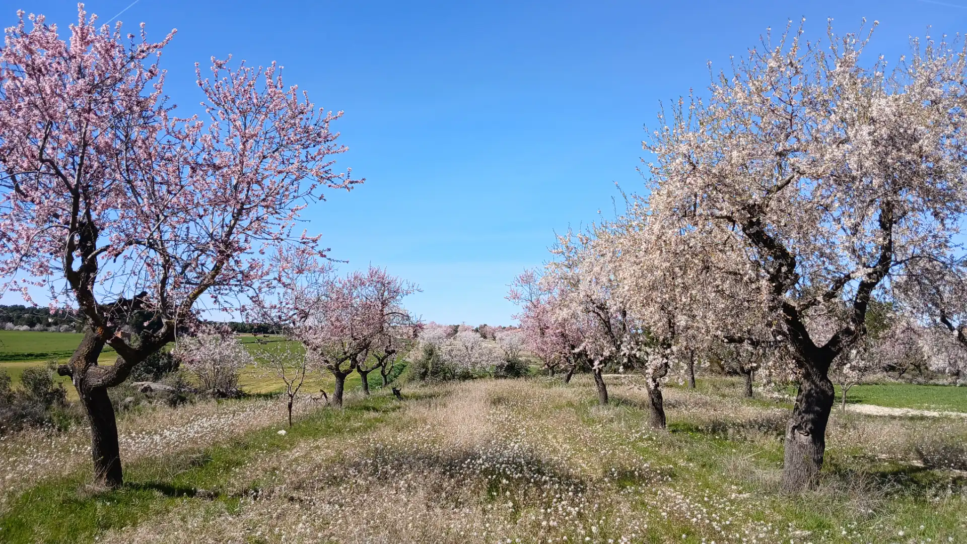 Terreni e lotti in vendita a Valderrobres, imagen 10
