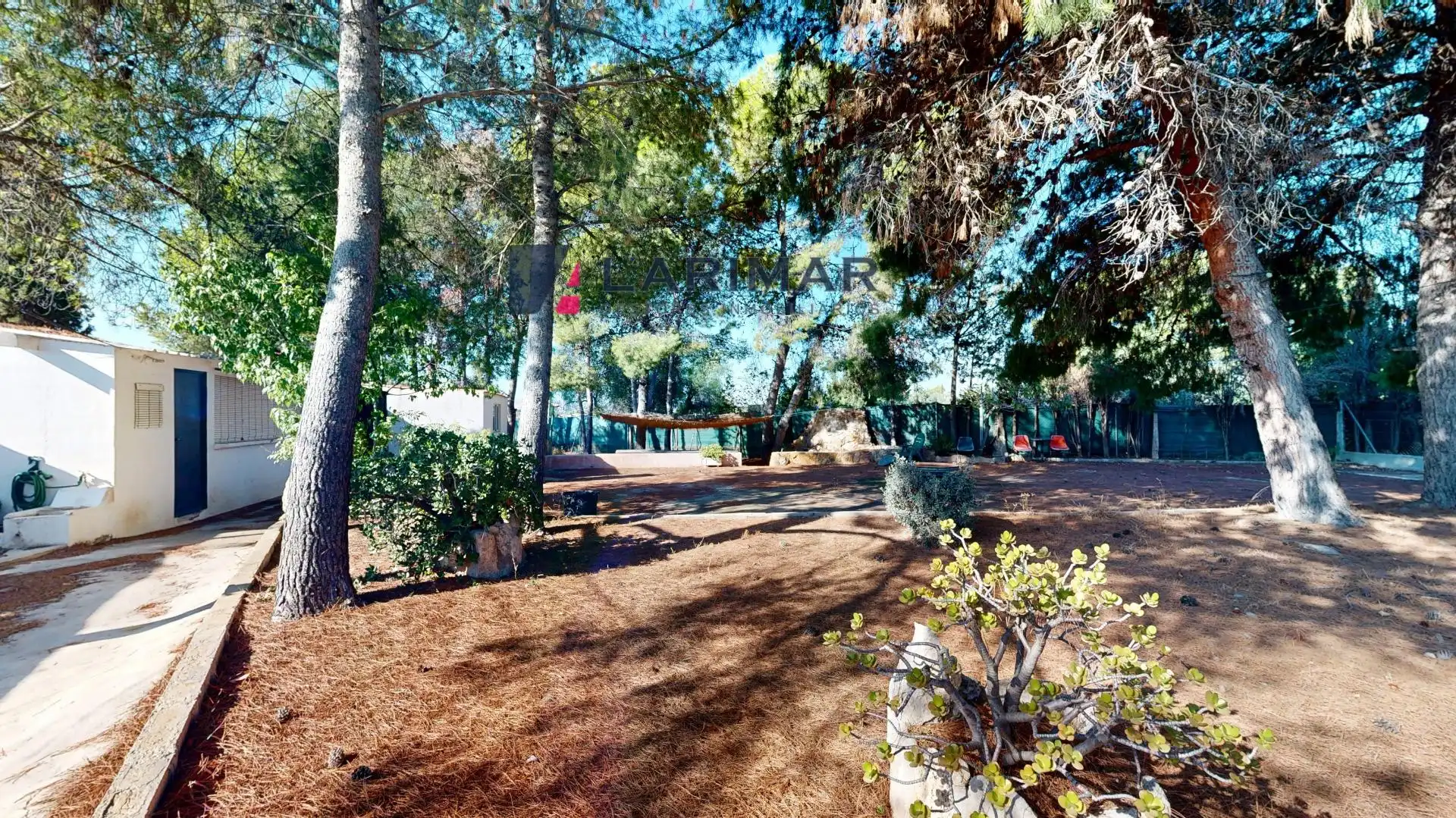 Jardín de Finca rústica en venta en San Vicente del Raspeig / Sant Vicent del Raspeig