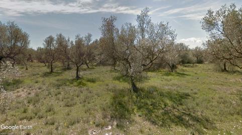 Foto 5 de Terreno en venta en N/a, -1, San Rafael del Río, Castellón