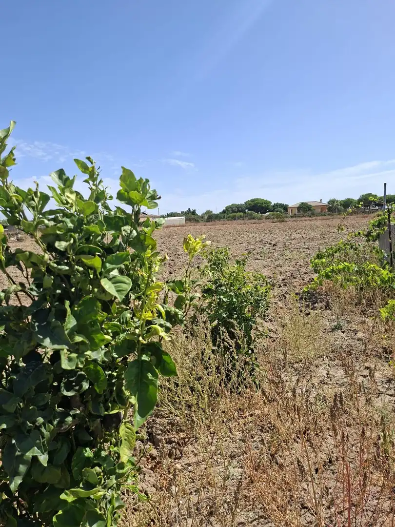 Terrenys i solars en venda a Los Franceses – La Vega, imagen 3