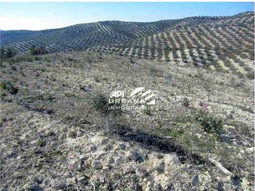 Lands and plots for sale in Partido Castillo Anzur Y Barranquillos