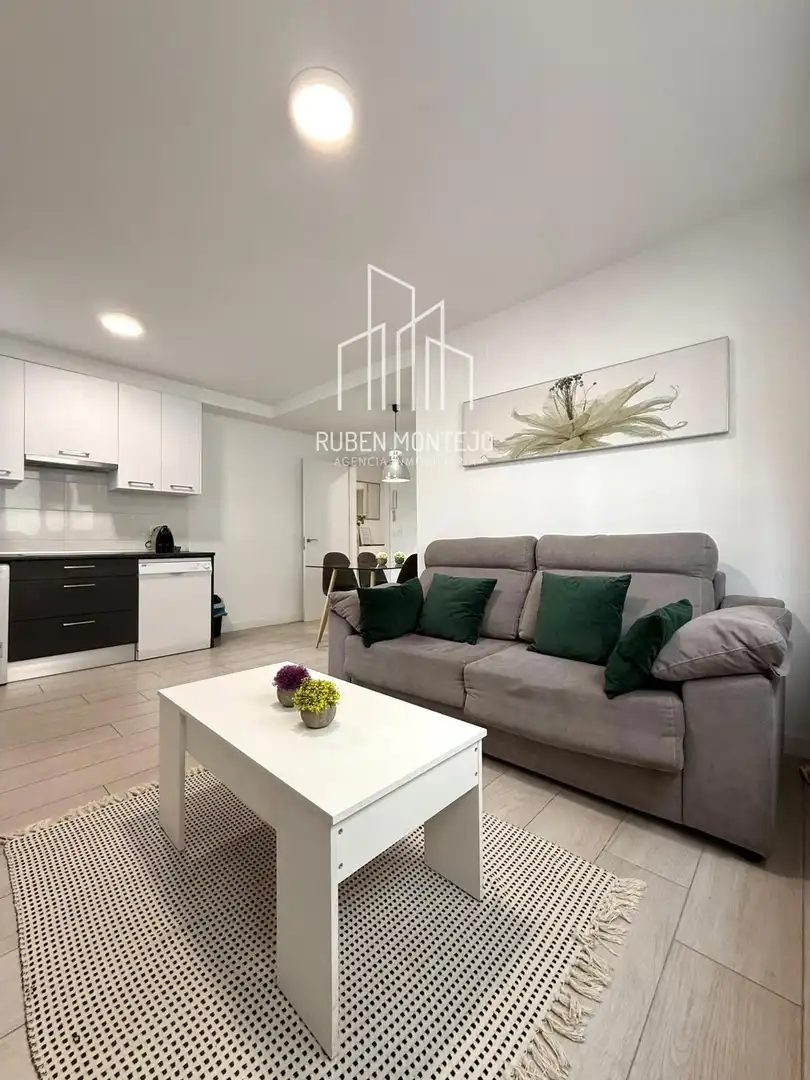 Sala d'estar de Apartament de lloguer en Salamanca amb Aire condicionat, Calefacció i Moblat