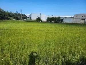 Industriegrundstück zum Verkauf in Joaquim Ruyra, imagen 7