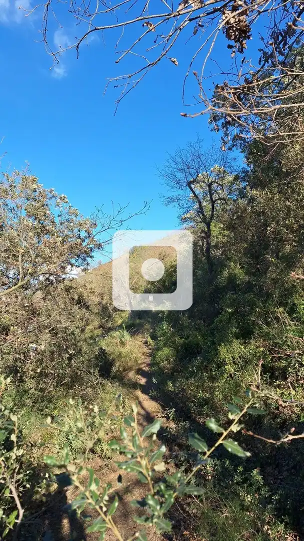 Rural land for sale in Puig Castellar Gg, imagen 3