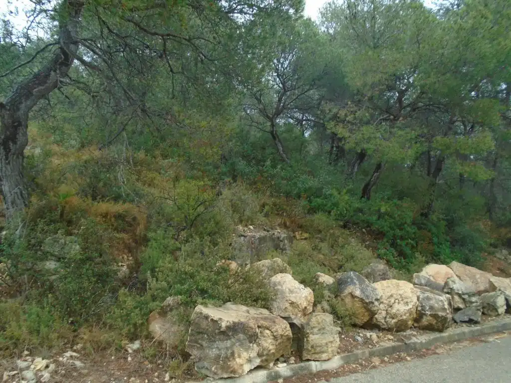 Grundstücke zum Verkauf in Masllorenç