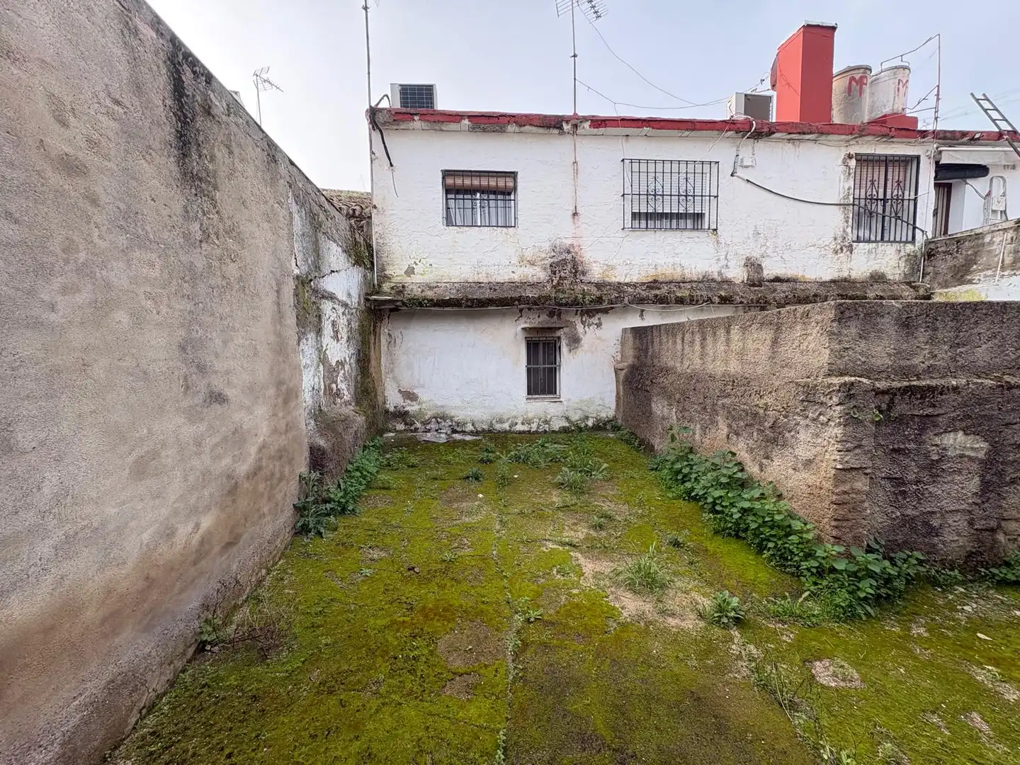 Vista exterior de Casa o chalet en venta en Burguillos