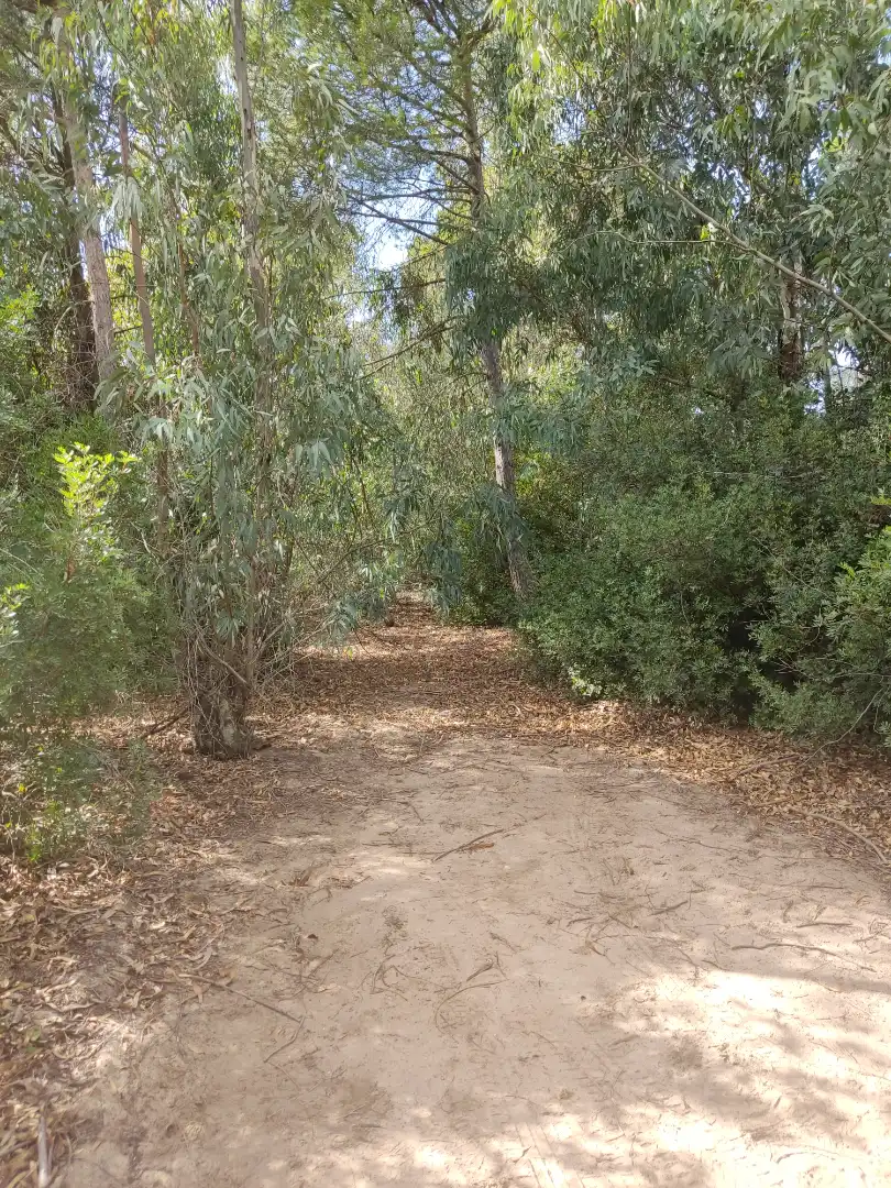 Terreni e lotti in vendita a Las Lagunas - Campano, imagen 13