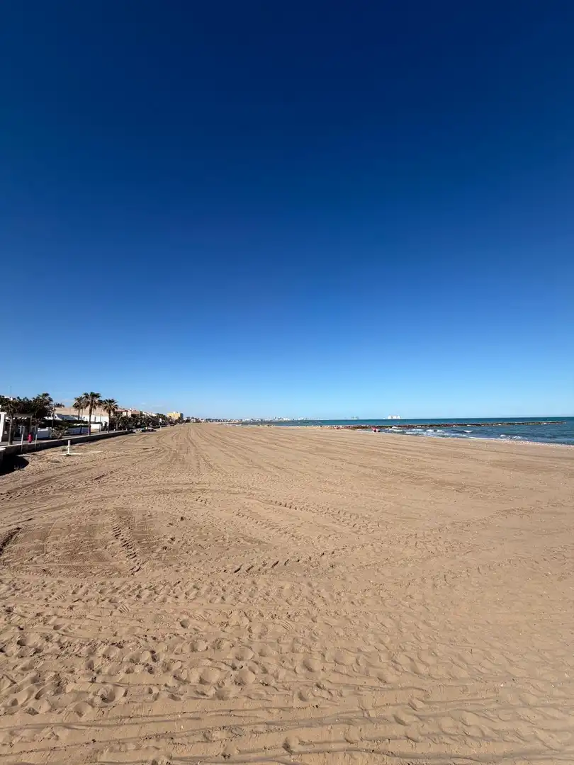 Exterior view of Detached homes for sale in Puçol  with Private garden, Terrace and Storage room