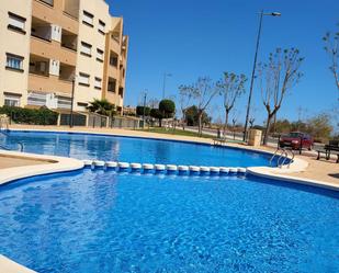 Swimming pool of Apartment to rent in  Murcia Capital  with Air Conditioner, Heating and Terrace