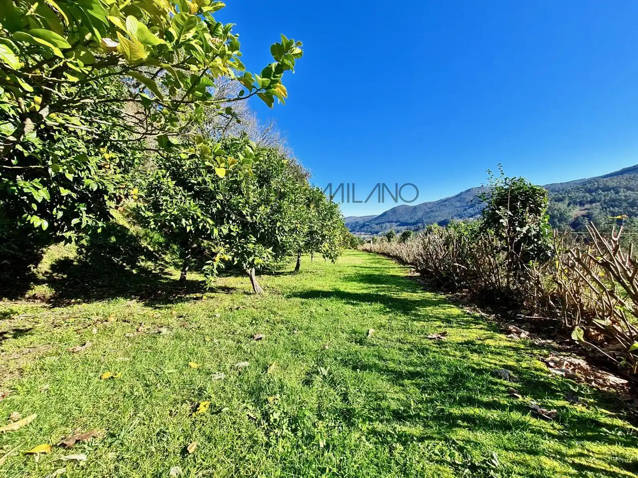 Country house zum Verkauf in Gondomar mit Heizung, Privatgarten und Terrasse