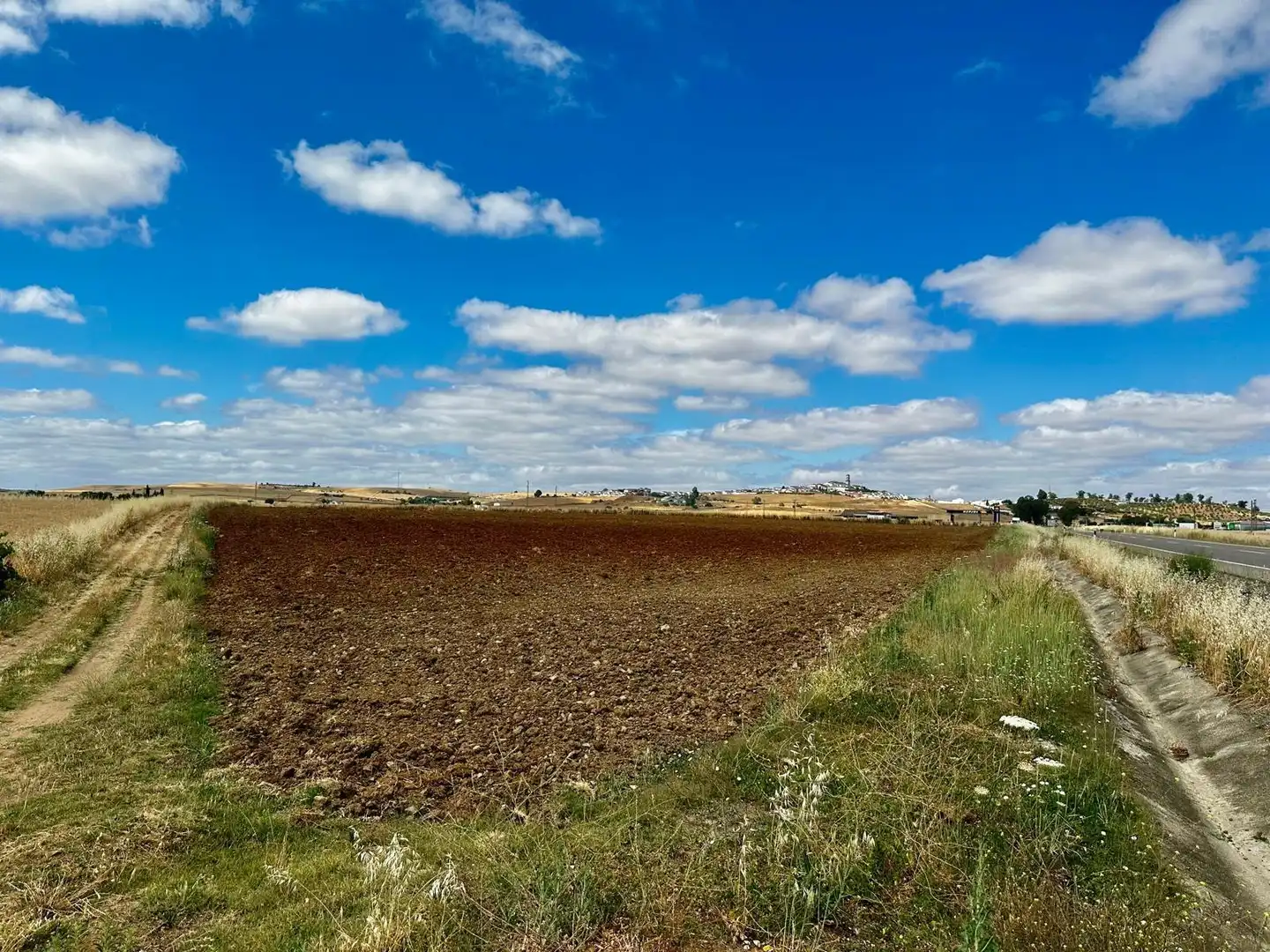 Rural land for sale in Fuente Obejuna, imagen 2