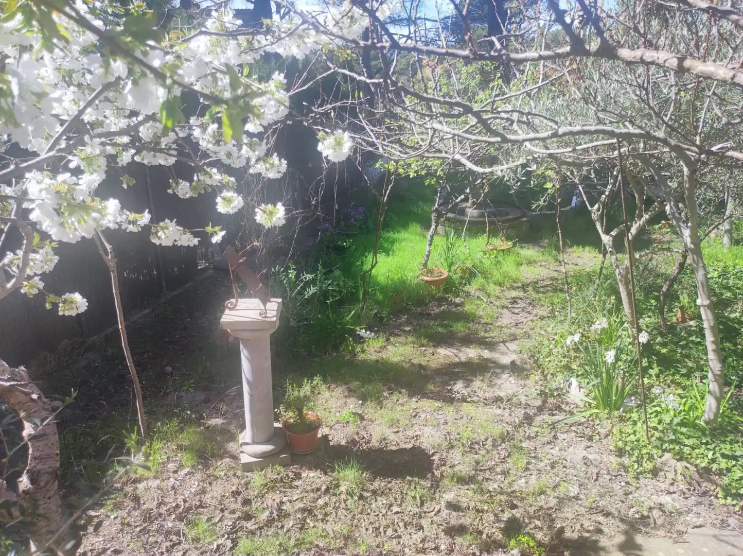 Jardín de Finca rústica en venta en Las Peñas de Riglos con Trastero, Amueblado y Balcón