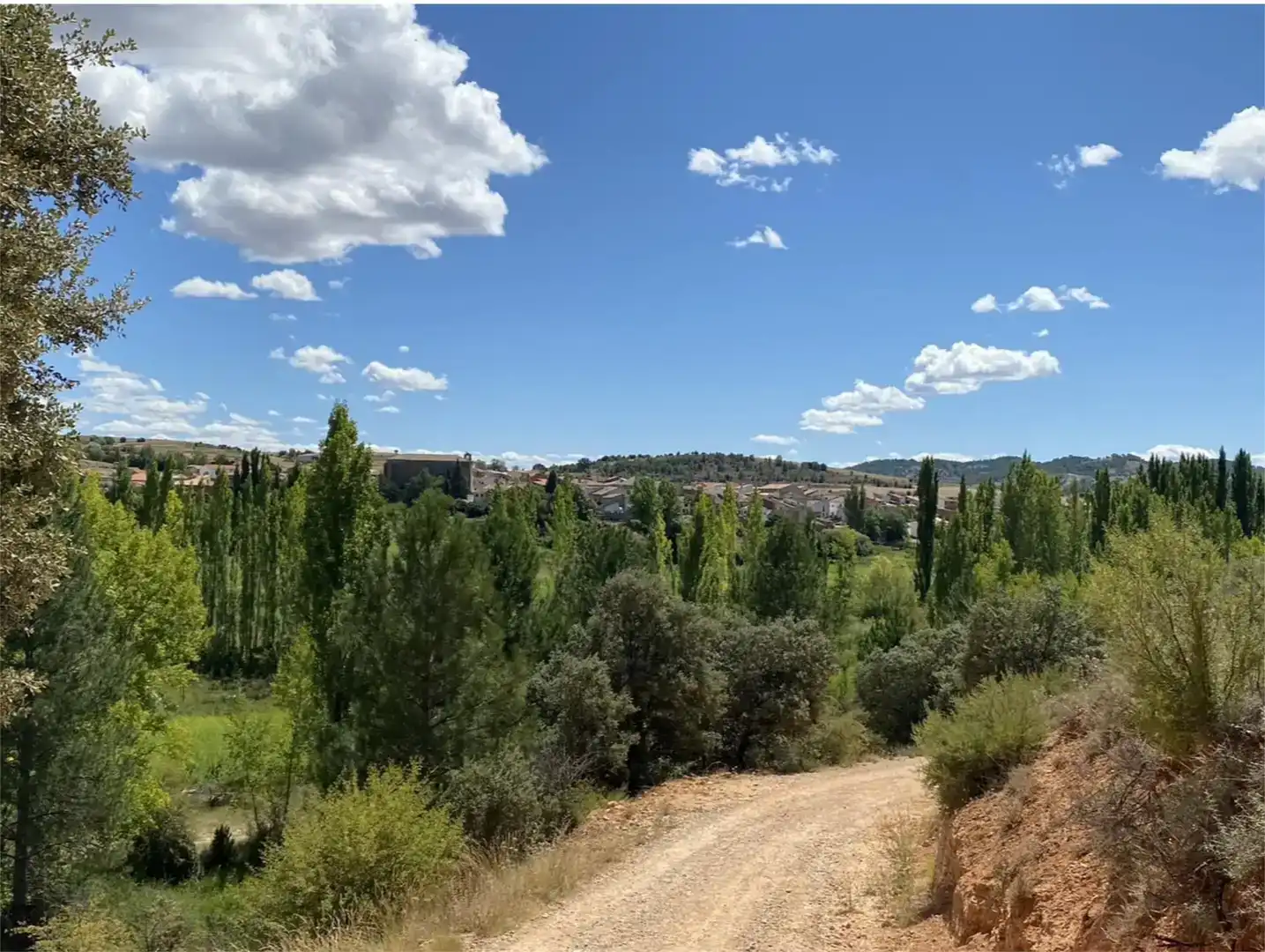 Exterior view of Land for sale in Cañamares