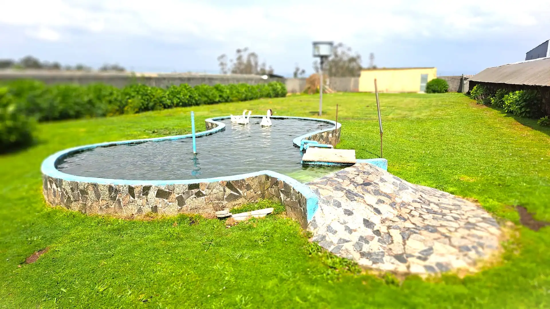 Casa o chalet en venta en Rúa Lince, Carral
