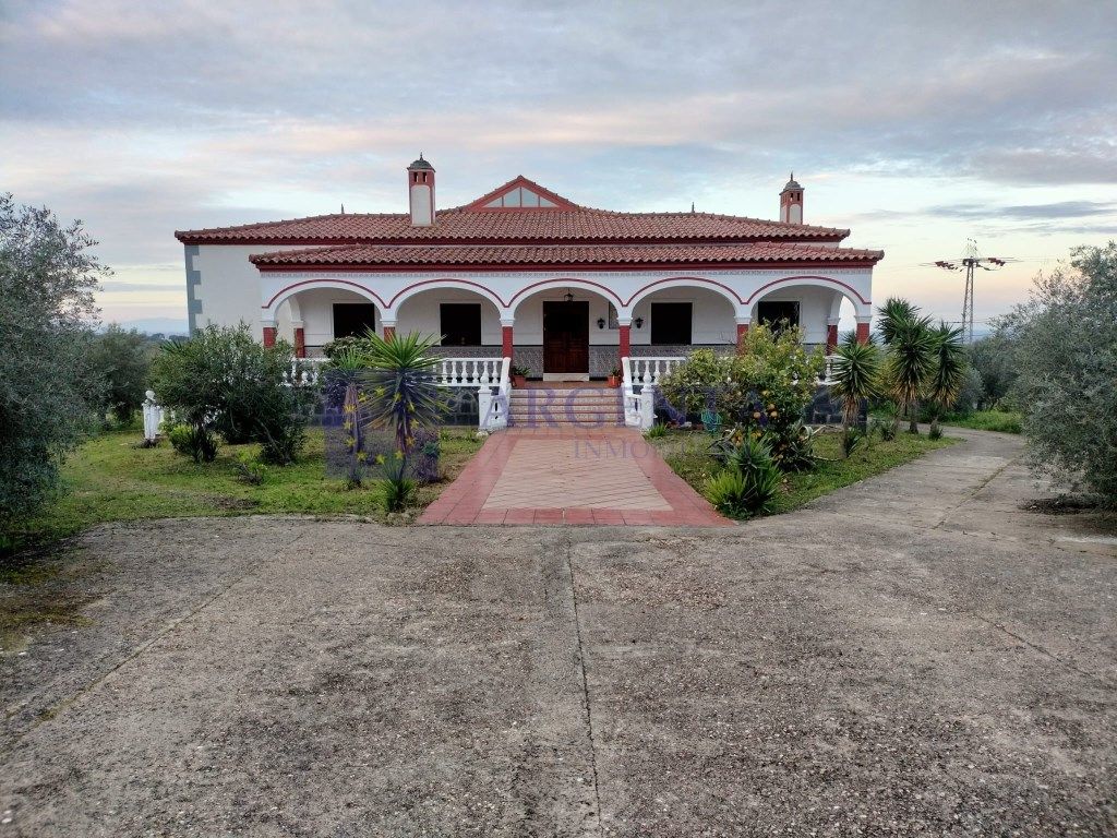 Exterior view of Country house for sale in Membrío  with Terrace